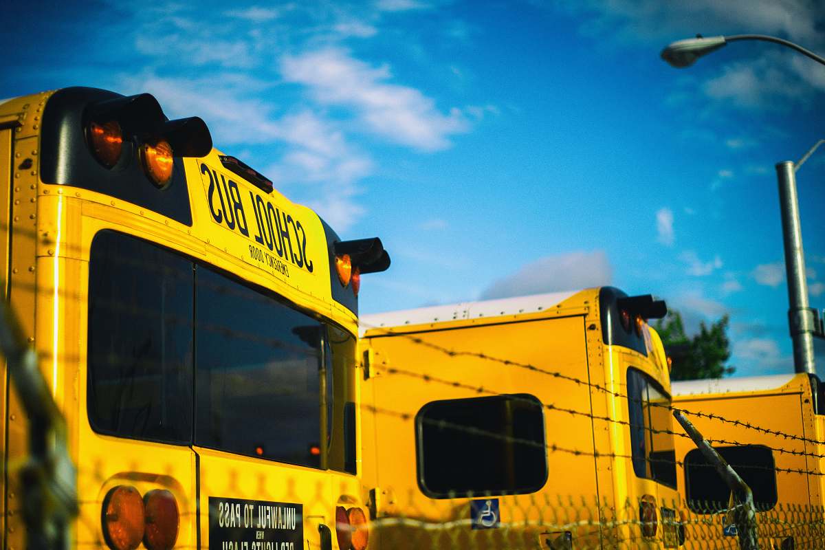bus three yellow school bus at daytime transportation